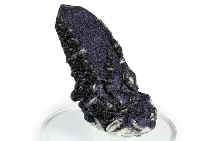 Purple Fluorite Encrusted Quartz Crystal - New Find! #350652